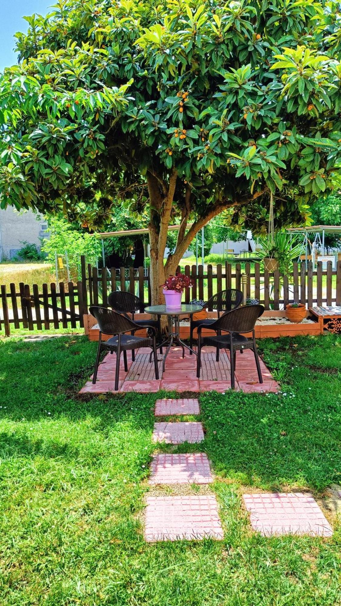 Garden House Katerina Aparthotel Leptokarya  Exterior foto