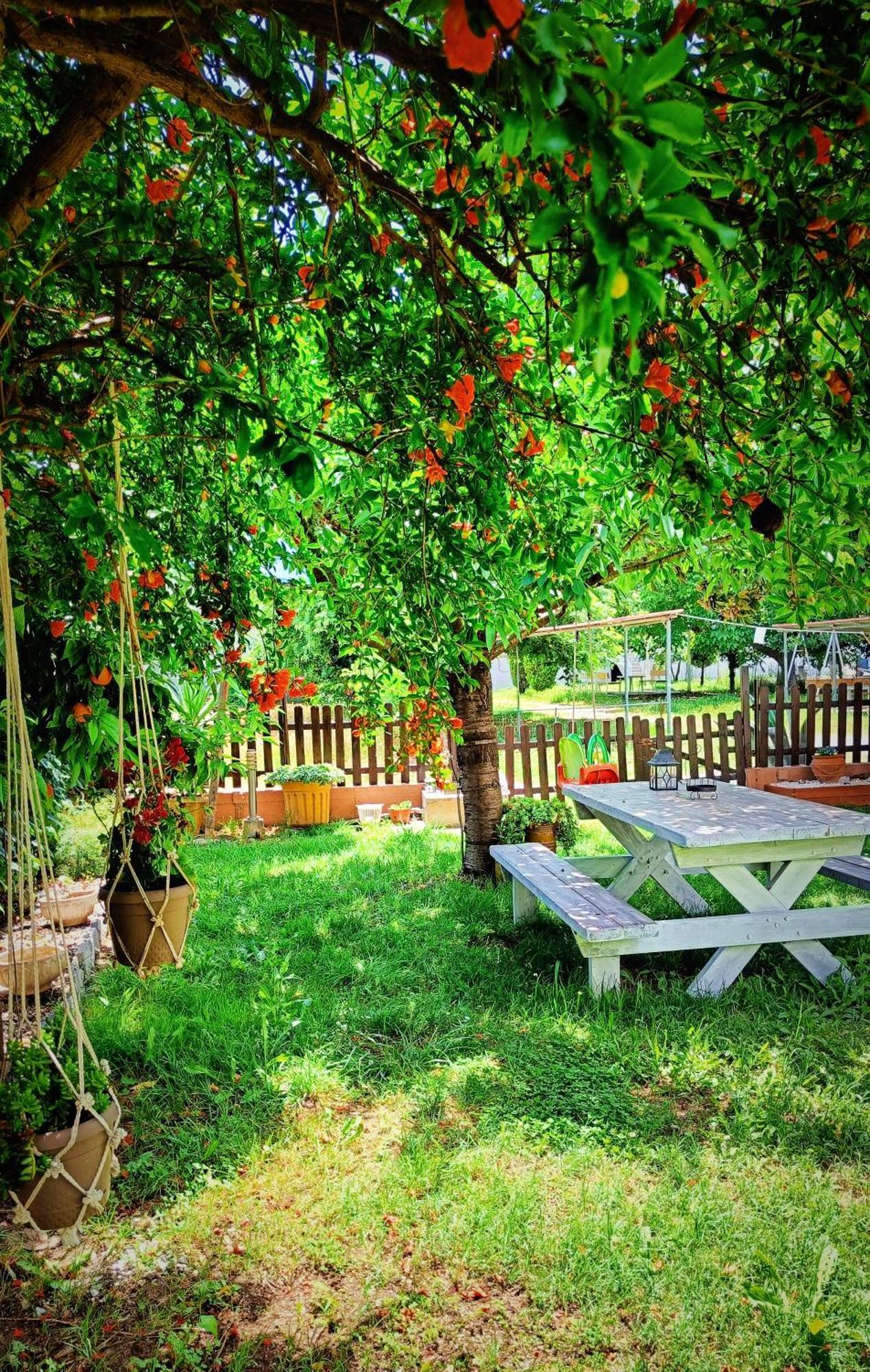 Garden House Katerina Aparthotel Leptokarya  Exterior foto